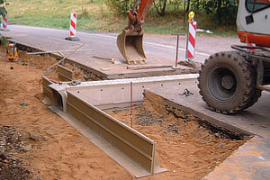 Amphibienschutz